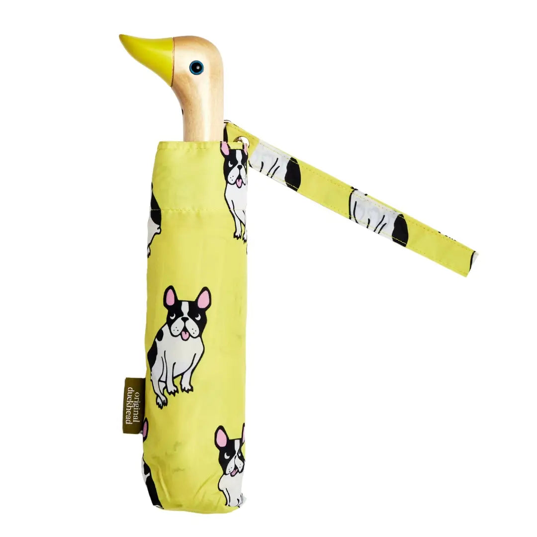 Duckhead Yellow Frenchie