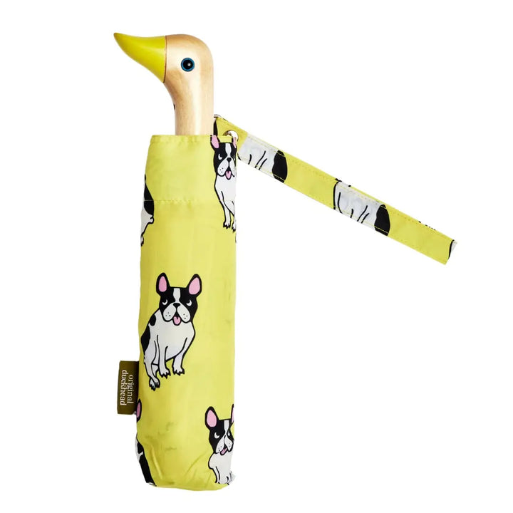 Duckhead Yellow Frenchie