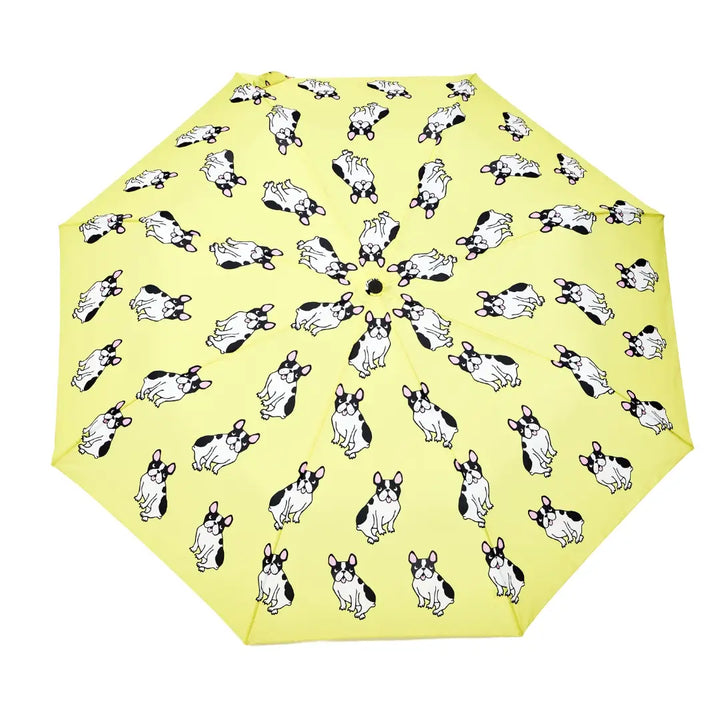 Duckhead Yellow Frenchie