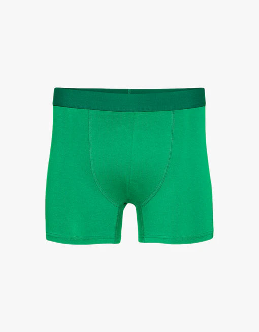 Classic Organic Boxer Brief Kelly Green