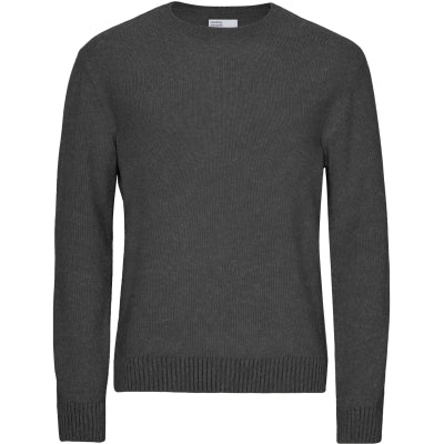 Colorful Standard Merino Wool Crew