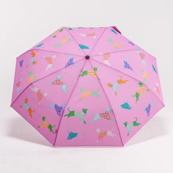 Original Duckhead Umbrella - Pattern