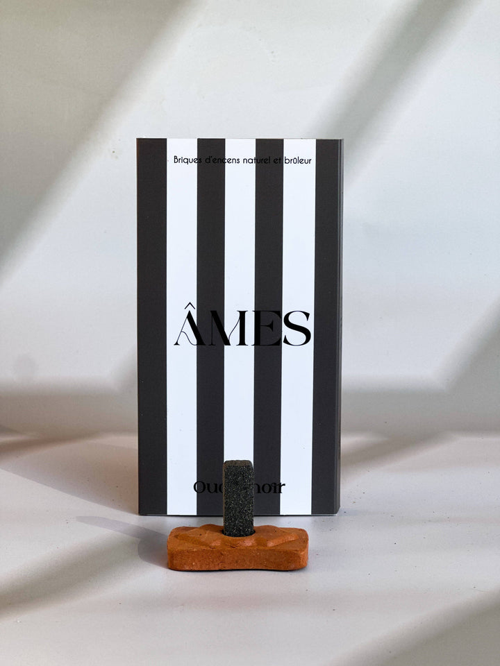 Natural incense bricks and burner: White sage