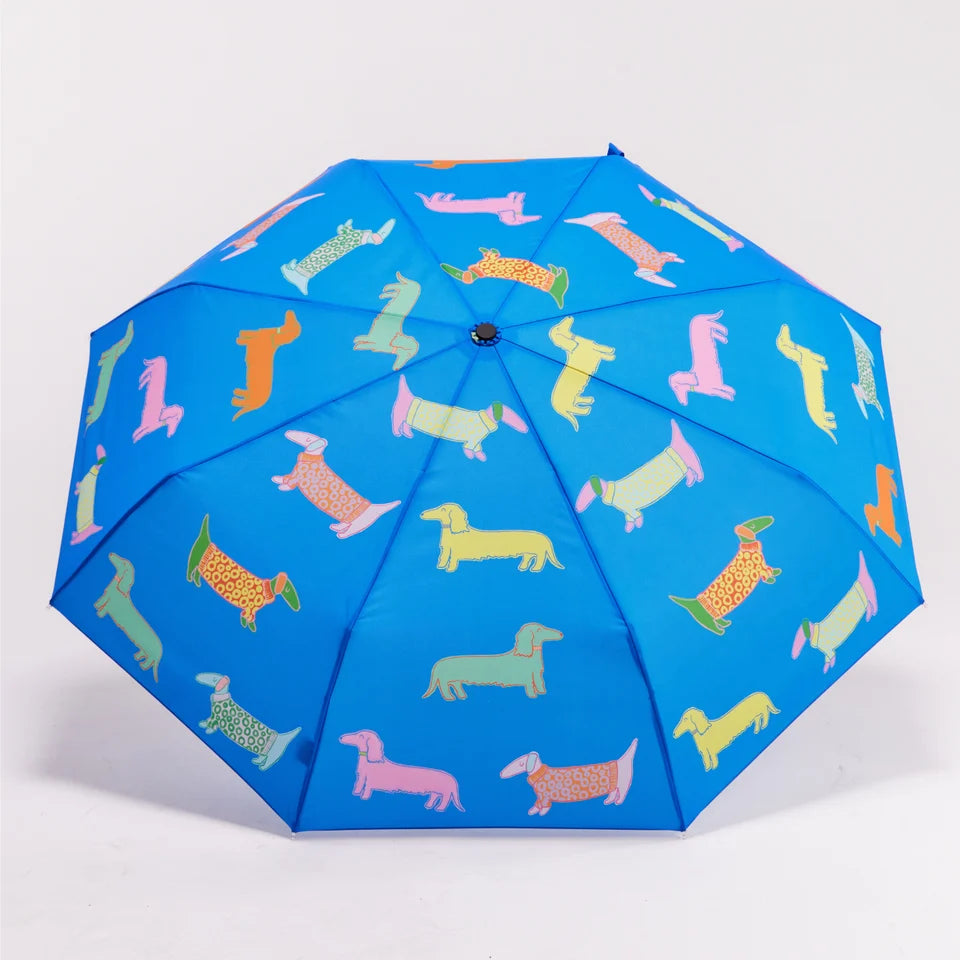 Original Duckhead Umbrella - Pattern