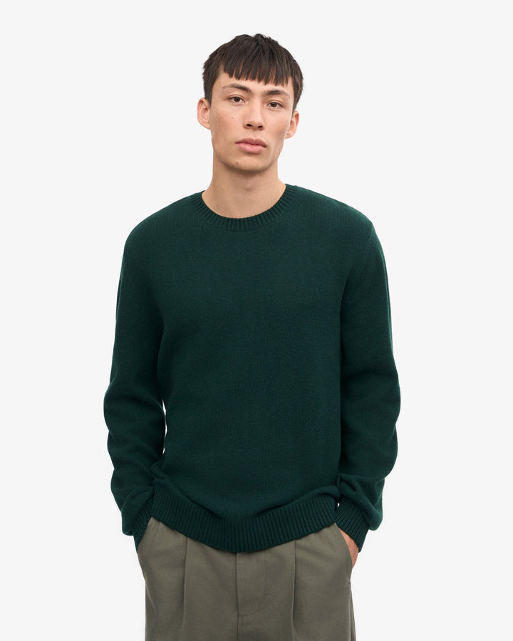 Colorful Standard Classic Merino Wool Crew