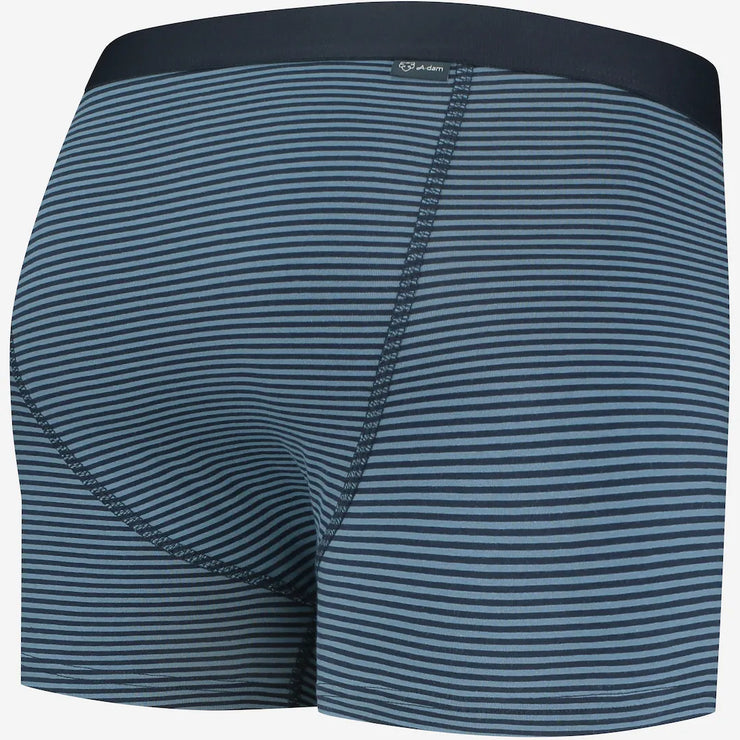 A-dam The Blues Boxers