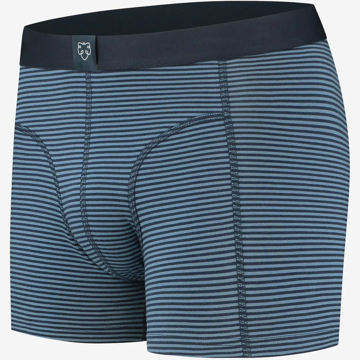 A-dam The Blues Boxers